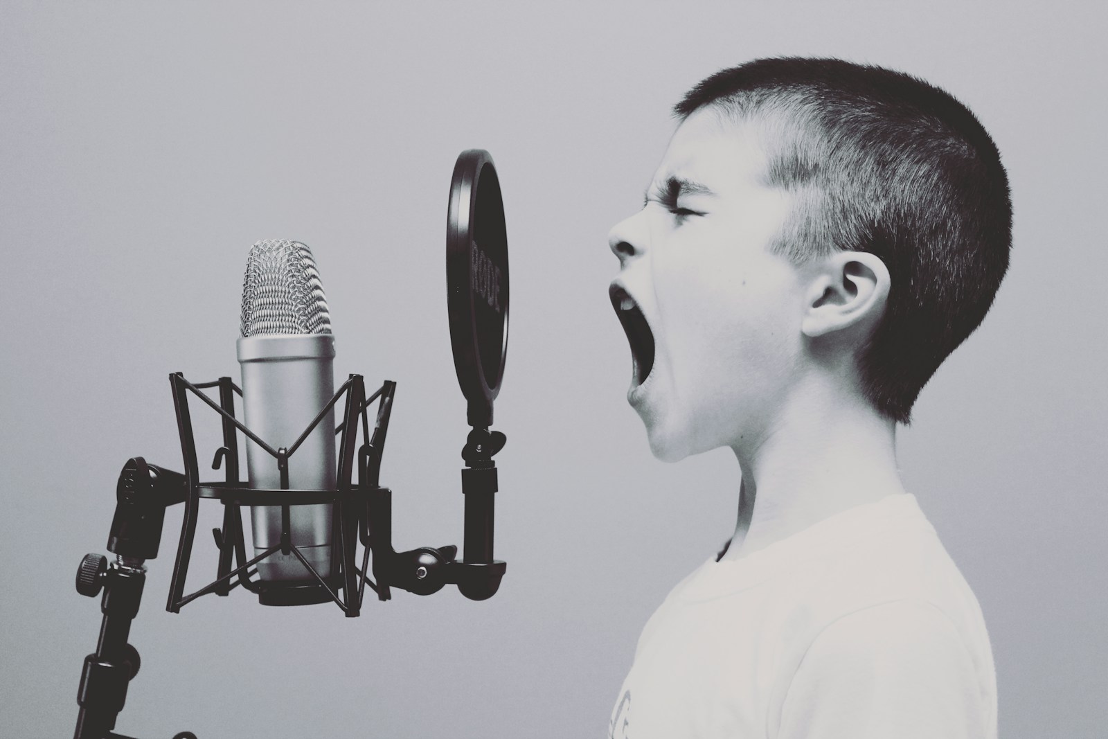 impact van voice search